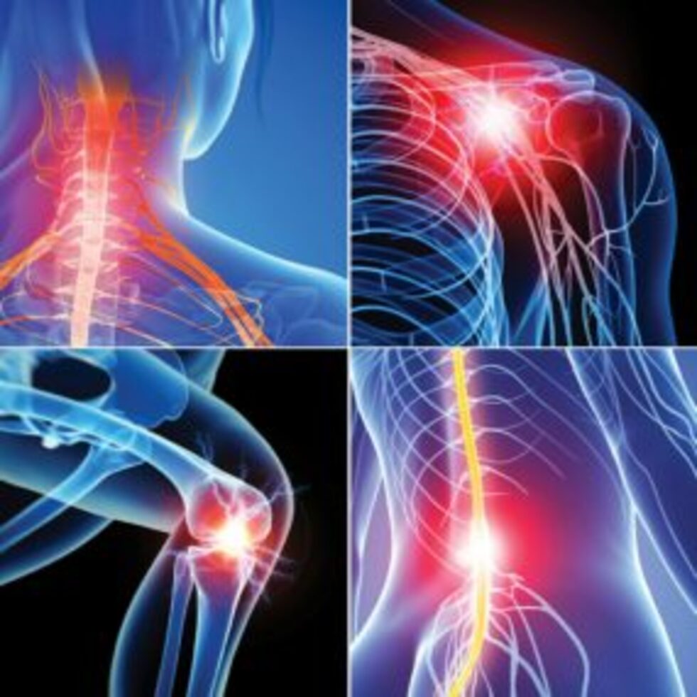 spine and joint care